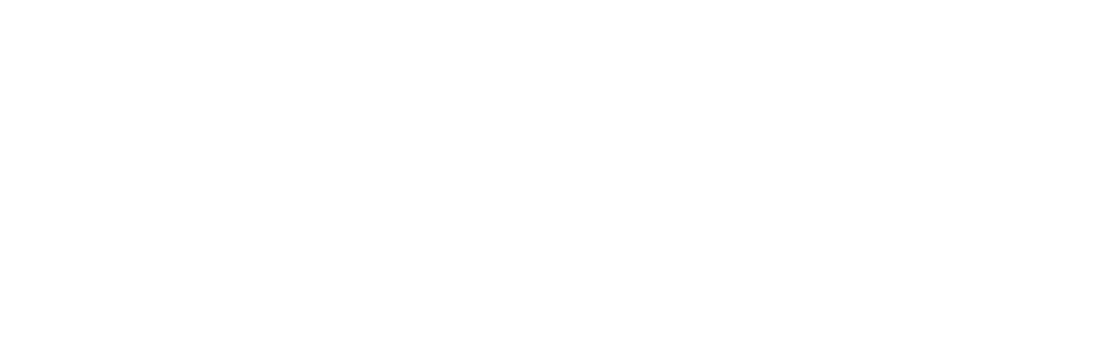 IBISALUD